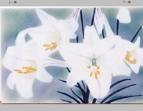 ʦX-O 75x47cm 